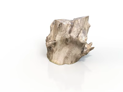 Natural Tree Stump with Rough Textured Wood Surface for Garden Decoration 3d model