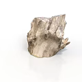 Natural Tree Stump with Rough Textured Wood Surface for Garden Decoration