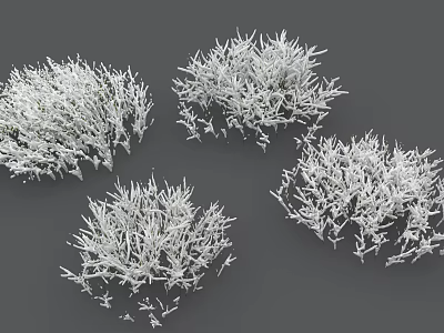 Multiple White Decorative Bushy Plants For Garden Landscaping And Ornamental Use 3d model