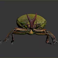 Vibrant Green Orange Beetle With Metallic Sheen Body Long Antennae And Legs