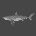 Realistic Great White Shark 3D Model Swimming Against Blue Background With Detailed Features