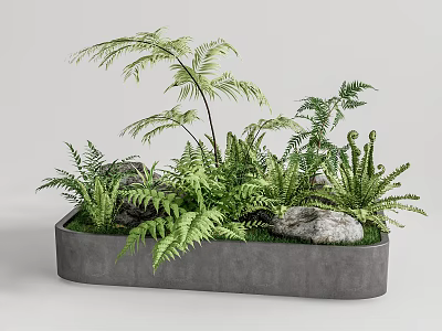 Lush Green Ferns And Plants In Gray Concrete Planter With Stones 3d model