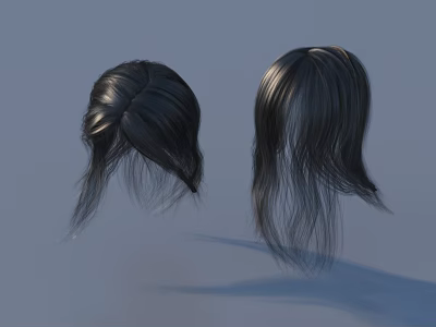 Women's Black Wigs Displaying Braided And Straight Hairstyle Options For Different Looks 3d model