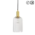 Stylish Modern Pendant Light with Golden Finish and Ribbed Glass Shade