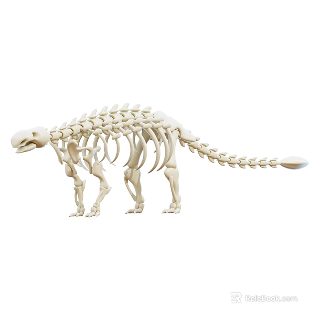Unique Dinosaur Skeleton Model Decorative Ornament Set for Home Display Decoration 3d model 