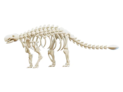 Unique Dinosaur Skeleton Model Decorative Ornament Set for Home Display Decoration 3d model