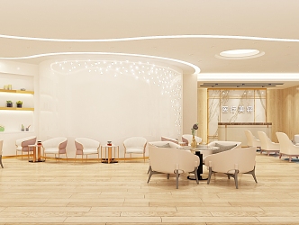 Modern Beauty Salon Nail Art Shop SPA Medical Beauty Rest Area Reception Area Negotiation Room Tea Room 3d model