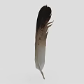 Decorative Ornament Set Featuring Brown And White Gradient Feather On Light Gray Background