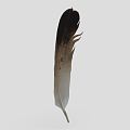 Modern Feather 3d model