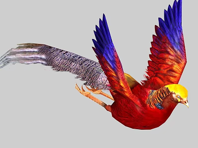 Vibrant Flying Bird With Red Blue Feathers And Yellow Head Soaring In Flight 3d model