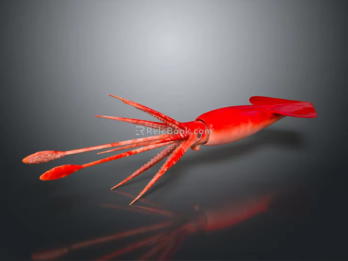 Modern squid Humboldt squid firefly squid firefly squid firefly squid 3d model