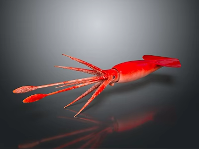 Vibrant Red Squid Marine Aquatic Animal With Long Tentacles And Sleek Body 3d model