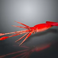 Modern squid Humboldt squid firefly squid firefly squid firefly squid 3d model