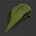 Fresh Green Okra Vegetable With Long Curved Shape And Smooth Surface 3d model