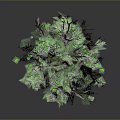 Realistic 3D Tree With Green Leaves Brown Trunk And Scattered Leaves Reflection