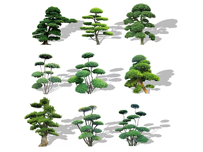 Various Shaped Pruned Arbor Trees For Landscape Design And Garden Decoration 3d model