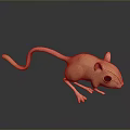 3D Rendered Pink Mouse Character With Slender Tail Large Black Eyes On Glossy Black Surface