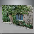 Lush Green Ivy Vines Growing On Stone Wall With Blue Window And Wooden Door