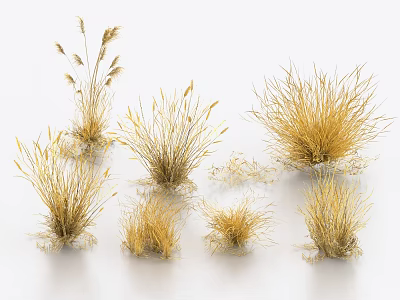 Golden Wild Grasses In Multiple Clumps With Various Natural Shapes For Decorative 3d model