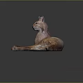 Lynx with Brown Spotted Fur Lying on Reflective Surface with Tufted Ears 3d model