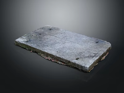 Natural Wooden Stone Slab With Gray Textured Surface Holes And Chipped Edges 3d model