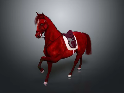 A Red Horse with Saddle and White Hooves in Standing Pose on Gray Background 3d model