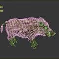 Brown Furred Wild Boar With Sharp Tusks Standing On Gray Background