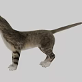 Modern Multiplayer Cat Rig Skin Wool 3d model