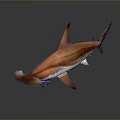 Orange Hammerhead Shark With Distinctive Hammer Shaped Head Vibrant Coloration And Sleek Body Design