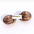 Two Reptile Snails With Spiral Shell Texture On White Background