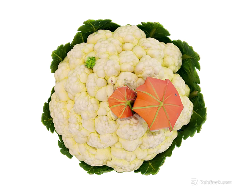 Top View Of Fresh Cauliflower With Green Leaves And Orange Small Umbrellas 3d model 