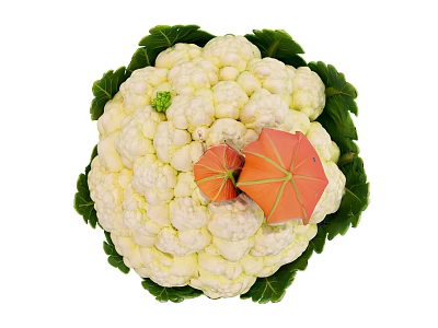 Top View Of Fresh Cauliflower With Green Leaves And Orange Small Umbrellas 3d model