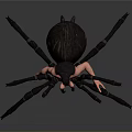 3D Rendered Spider Model With Detailed Black Legs And Red Segmented Body On Gray Background