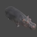 Realistic Hippopotamus 3D Model With Grey Skin And Standing Pose