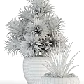 Various Types of Decorative Potted Plants with Lush Foliage and Different Planters for Indoor Use