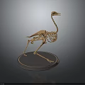 Ostrich Skeleton Model Displaying Bone Organs And Hair Structure On Stand 3d model