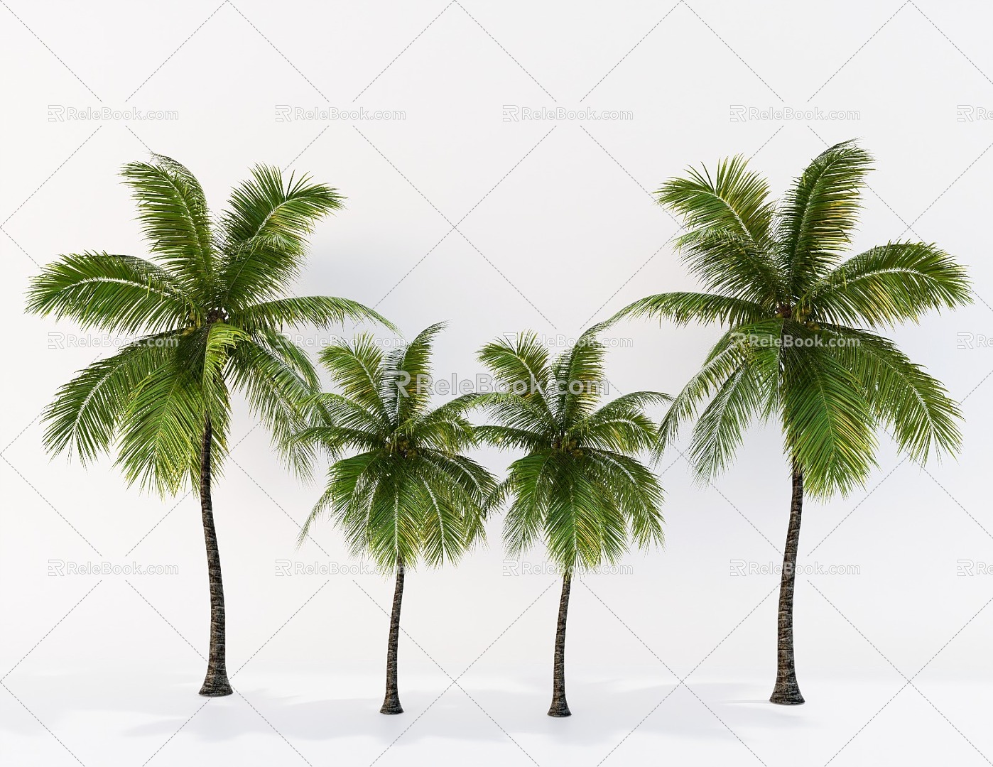 Coconut Tree Landscape Tree Tropical Landscape Tree Palm Plant 3d model