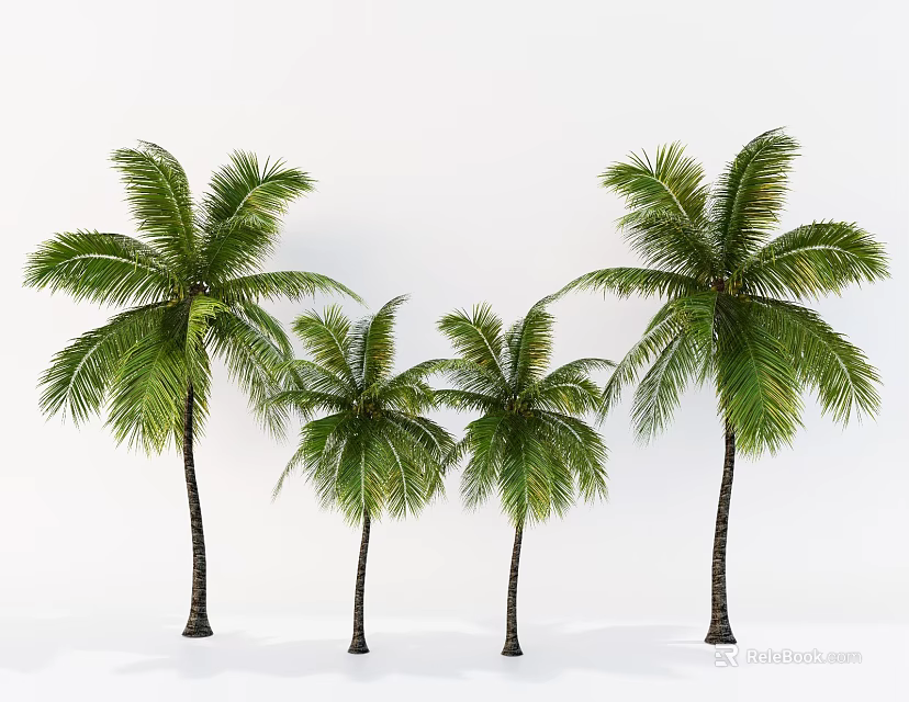 Lush Green Palm Trees of Various Sizes Isolated on White Background 3d model 