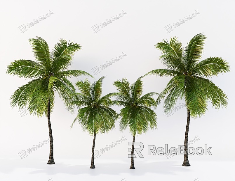 Coconut Tree Landscape Tree Tropical Landscape Tree Palm Plant model