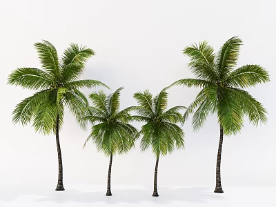 Coconut Tree Landscape Tree Tropical Landscape Tree Palm Plant 3d model