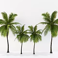 Coconut Tree Landscape Tree Tropical Landscape Tree Palm Plant 3d model
