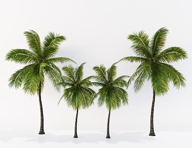 Coconut Tree Landscape Tree Tropical Landscape Tree Palm Plant 3d model