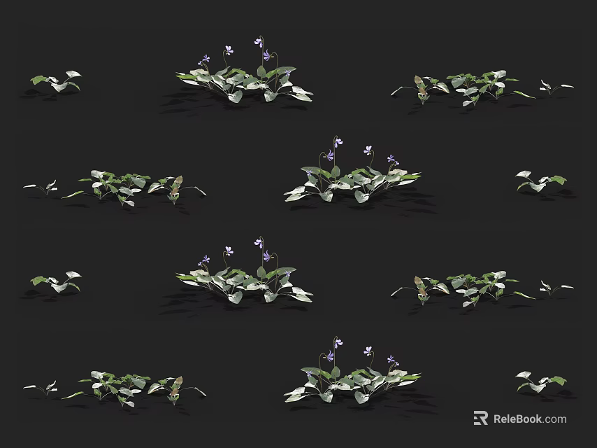 Various Forms of Flowers and Plants with Green Leaves and Purple Blooms on Black Background 3d model 