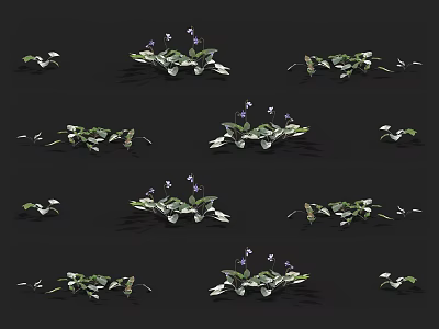 Various Forms of Flowers and Plants with Green Leaves and Purple Blooms on Black Background 3d model