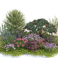 Diverse Garden Shrubs Featuring Pink Purple Flowers And Lush Green Foliage