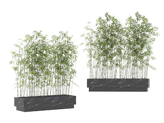 green plant bamboo 3d model