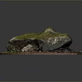 Natural Stone With Green Moss And Wood Chips On Brown Soil Surface