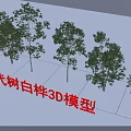 Modern Birch Trees 3D Models Featuring Realistic Design And Detailed Foliage 3d model