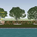 Decorative Trees With White Flowers And Reflection In Pool On Green Lawn
