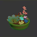 Colorful Succulent Plants in Terracotta Pot with Blue Green Leaves and White Flowers